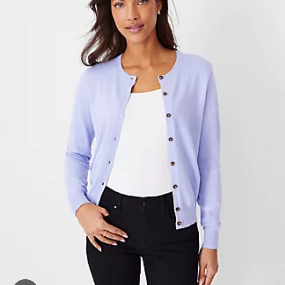Ann Taylor Soft Blue‎ Cardigan Sweater Grandmacore Minimalist Academia Preppy S